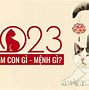 Bố Đinh Mão Mẹ Kỷ Tỵ Sinh Con Năm 2024