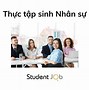 Thực Tập Sinh Marketing Là Làm Gì